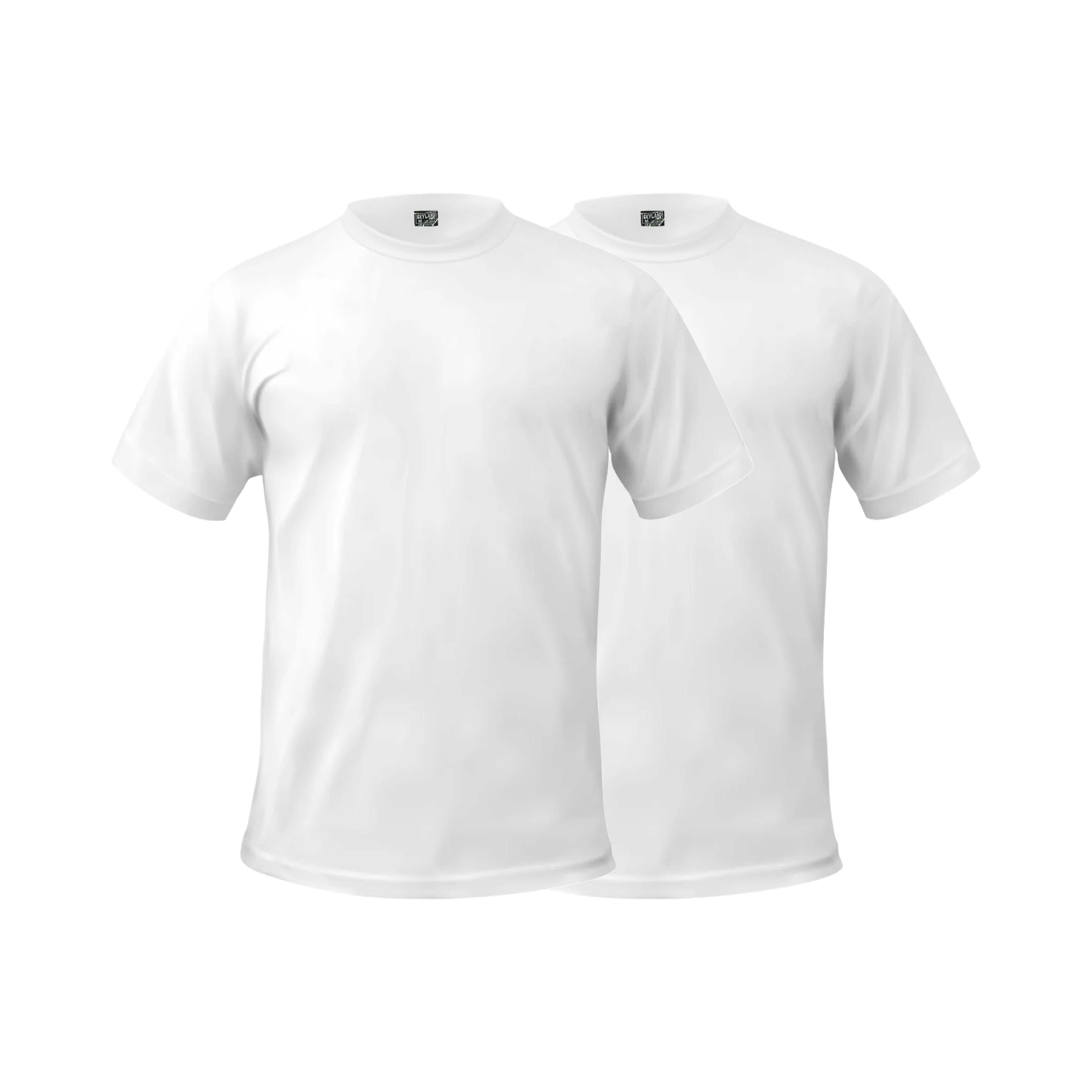 InmatePackageSkyLand100_CottonShortSleeveT-shirt_Heavyweight_10for2.jpg