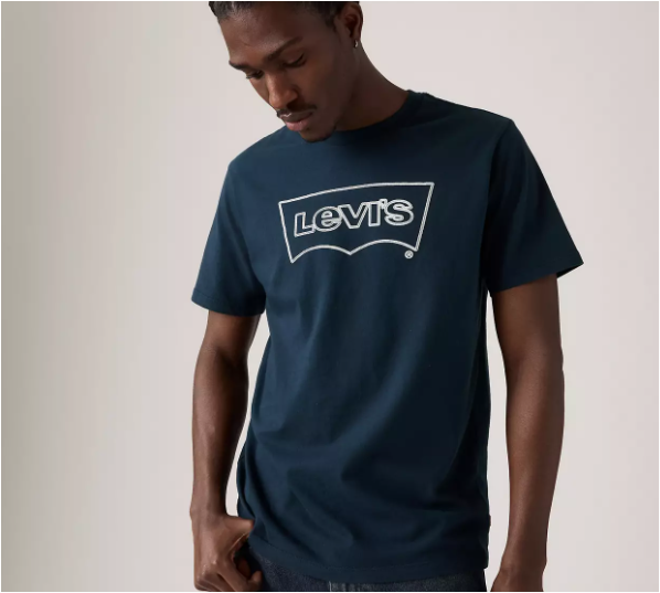 Levis Graphic Crewneck Tee